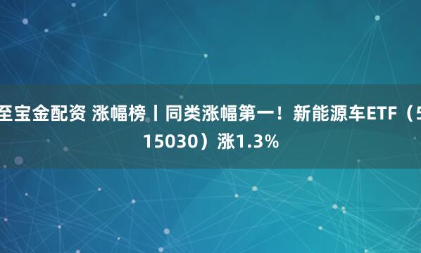 至宝金配资 涨幅榜丨同类涨幅第一!新能源车ETF(515030)涨1.3%