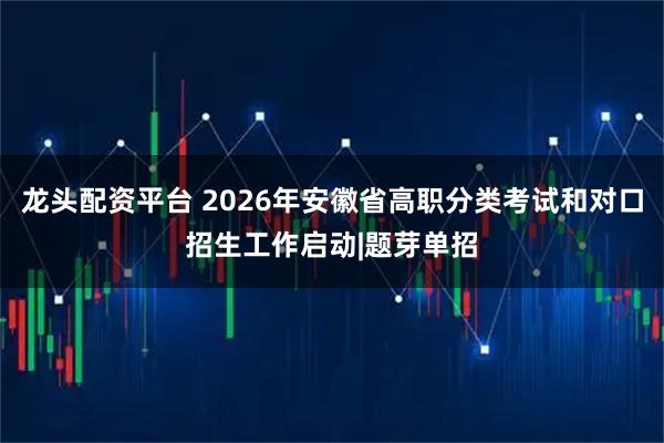 龙头配资平台 2026年安徽省高职分类考试和对口招生工作启动|题芽单招